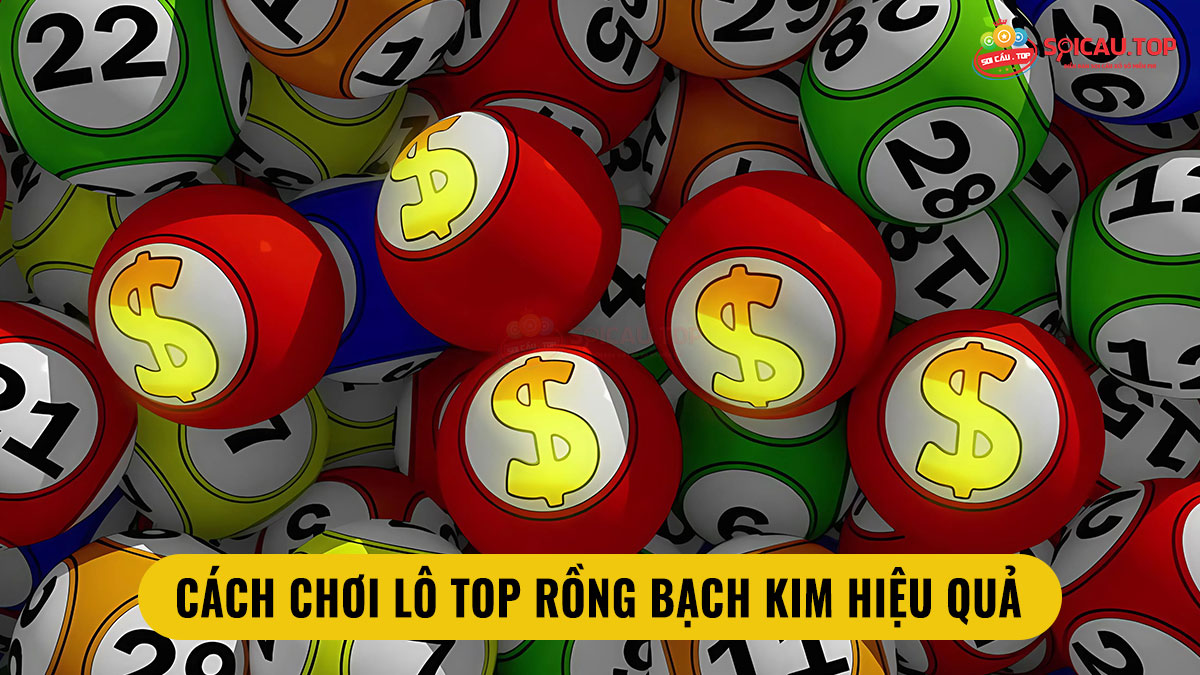 Cách chơi lô TOP Rồng Bạch Kim hiệu quả