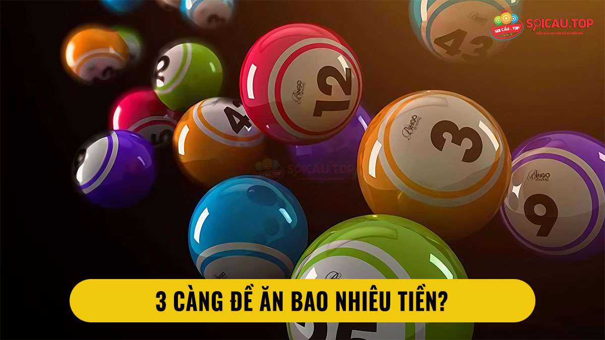 3 càng ăn bao nhiêu tiền