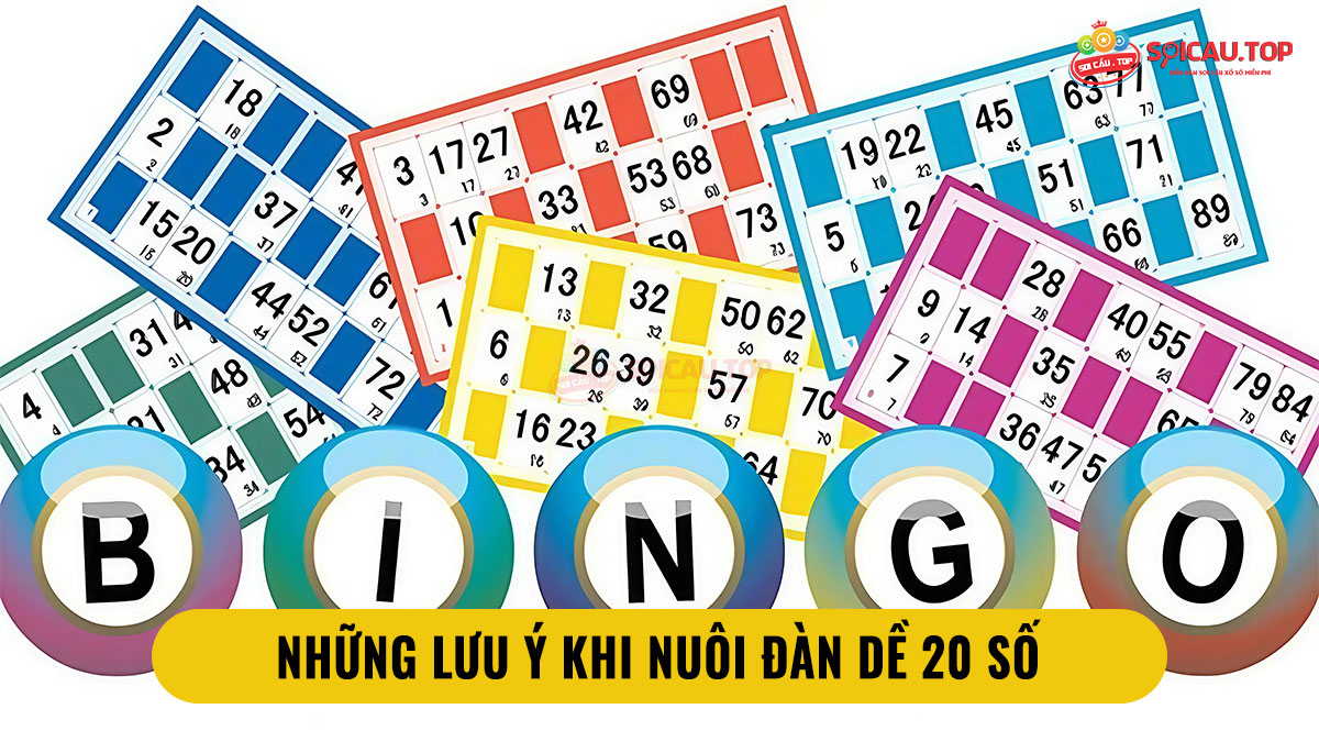 những lưu ý khi nuôi đàn dề 20 số