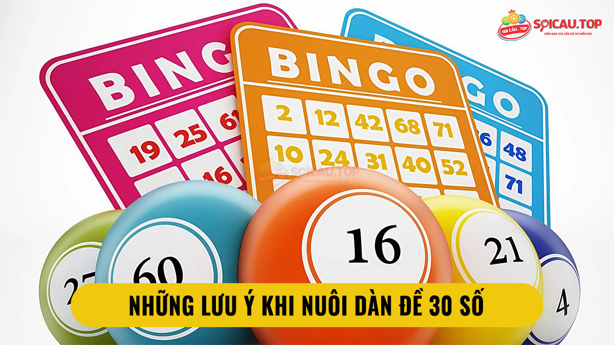 Những lưu ý khi nuôi dàn đề 30 số