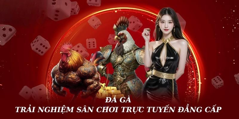 Đá Gà – Sảnh Game Kịch Tính Nhất Tại Nhà Cái Fabet Năm 2025