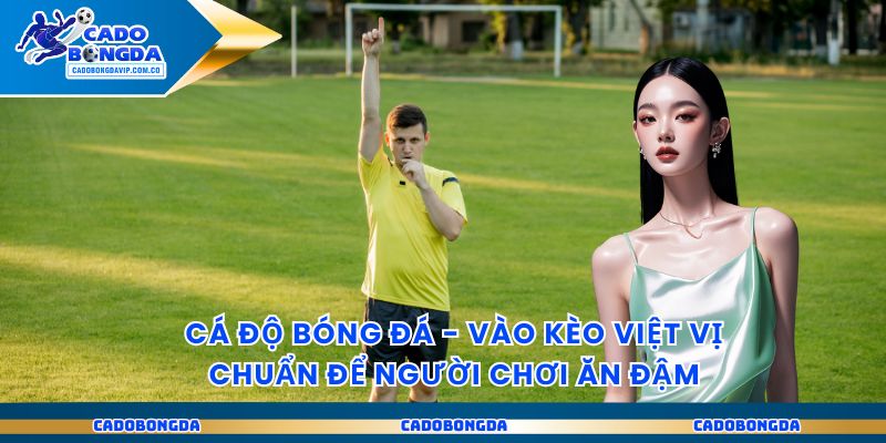 Cá Độ Bóng Đá – Vào Kèo Việt Vị Chuẩn Để Người Chơi Ăn Đậm