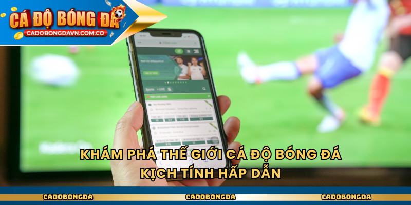 Khám phá thế giới cá độ bóng đá kịch tính hấp dẫn