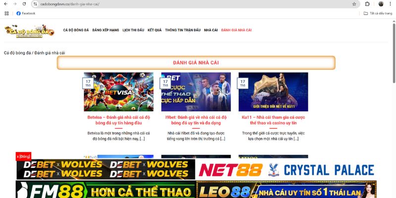 Cá Độ Bóng Đá – Trang Web Dành Cho Các Tín Đồ Mê Bóng Đá