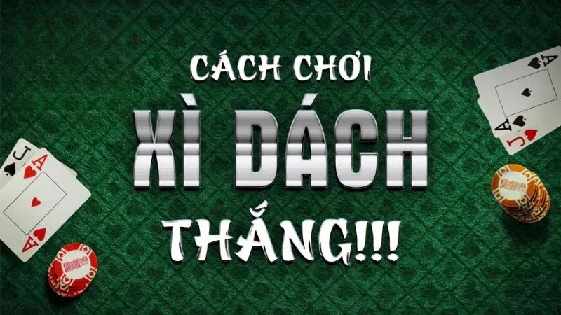 Hé Lộ Cách Chơi Xì Dách Giúp 9/10 Người Mới Cũng Có Lãi