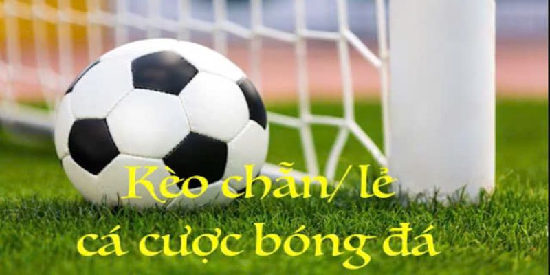Kèo Nhà Cái: Cập Nhật Xu Hướng Và Cách Chơi Hiệu Quả