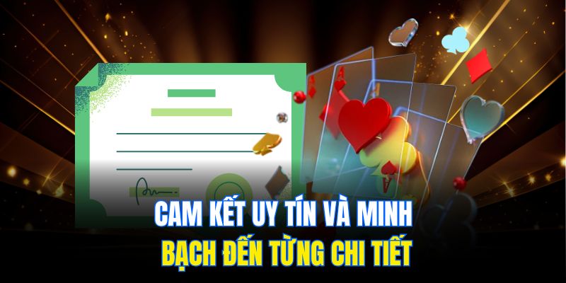 Cam kết uy tín và minh bạch đến từng chi tiết