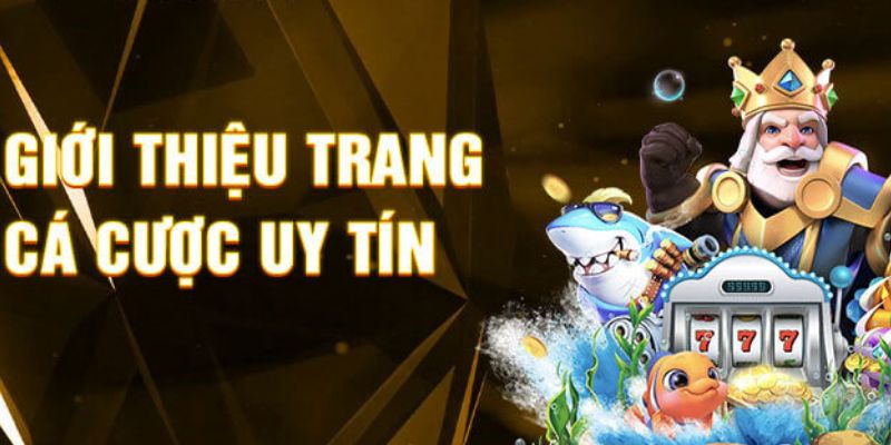 Giới thiệu về WE88