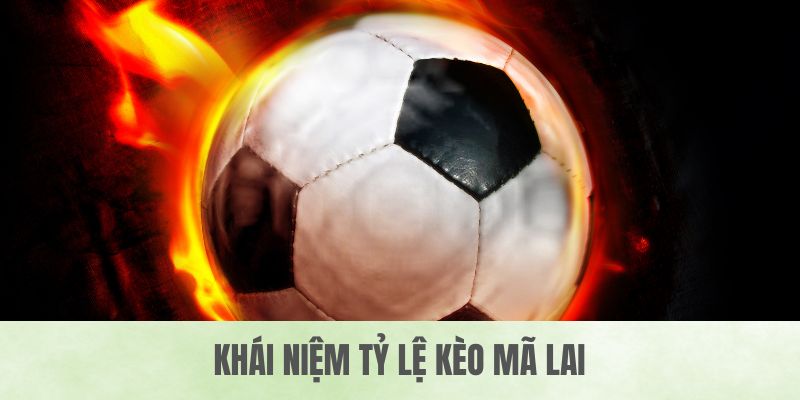 Khái niệm tỷ lệ kèo mã lai