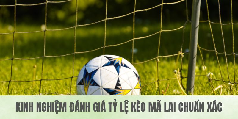 Kinh nghiệm đánh giá tỷ lệ kèo mã lai chuẩn xác