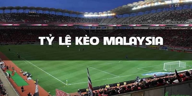 Những đặc điểm làm nên sự hấp dẫn của kèo Malaysia tại DEBET
