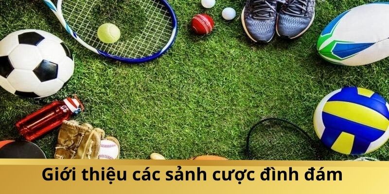 88CLB gây ấn tượng bởi 3 sảnh cược uy tín, chất lượng