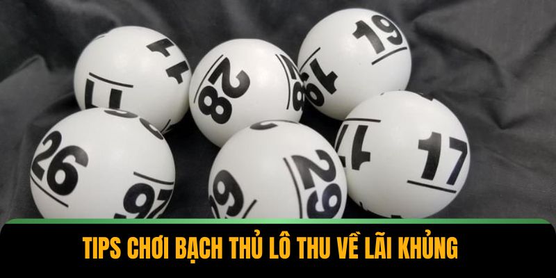 Tips chơi bạch thủ lô thu về lãi khủng