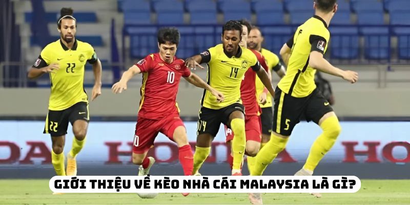Kèo nhà cái Malaysia tại DEBET – Hướng dẫn mẹo chơi hiệu quả không thể bỏ lỡ