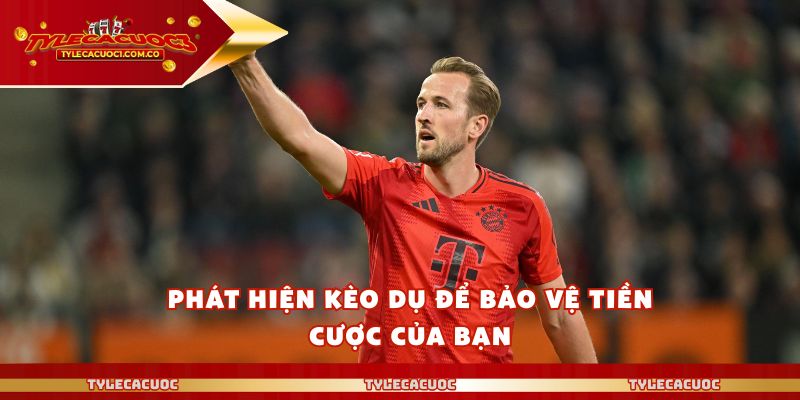 Tỷ Lệ Cá Cược – Cách Nhận Biết Hiệu Quả Để Bạn Tránh Rủi Ro
