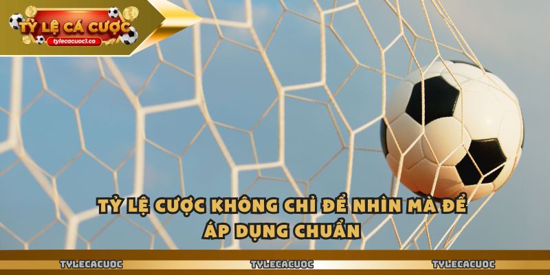 Tỷ lệ cược không chỉ để nhìn mà để áp dụng chuẩn