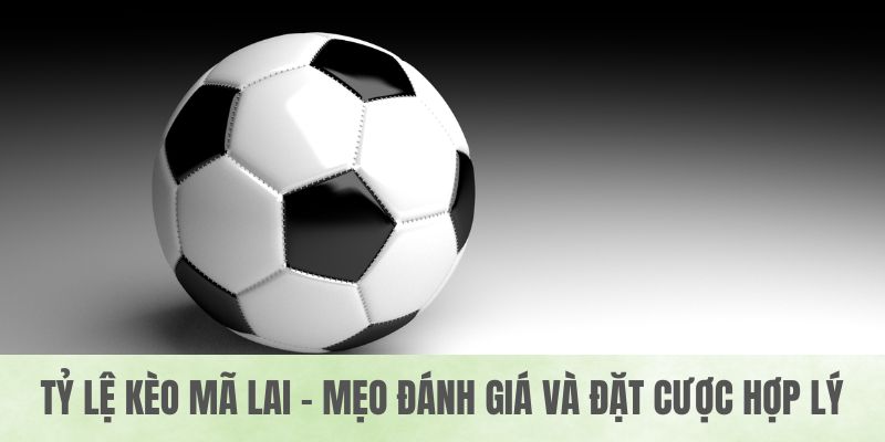 Tỷ Lệ Kèo Mã Lai – Mẹo Đánh Giá Và Đặt Cược Hợp Lý