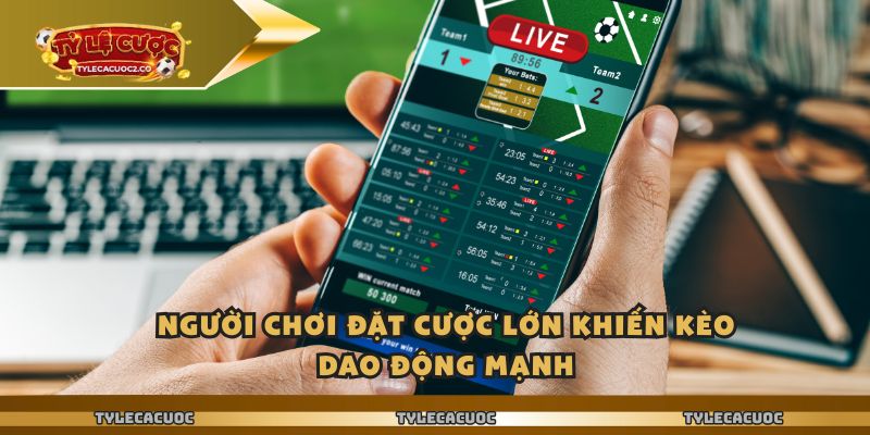 Người chơi đặt cược lớn khiến kèo dao động mạnh