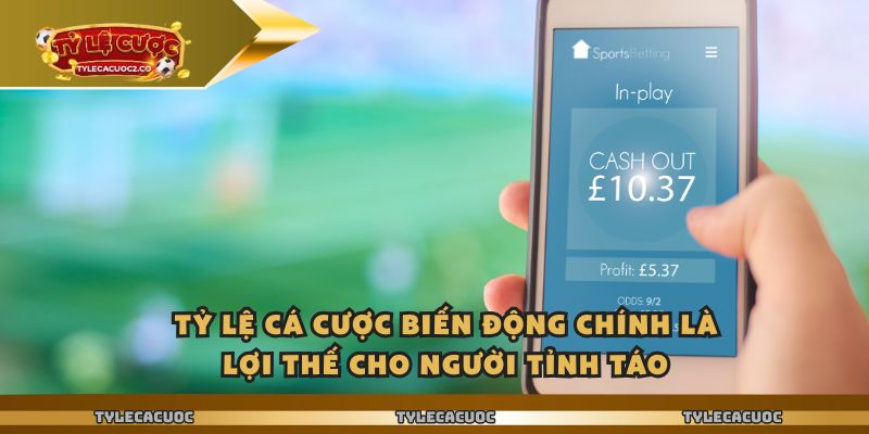 Tỷ Lệ Cá Cược Biến Động Chính Là Lợi Thế Cho Người Tỉnh Táo