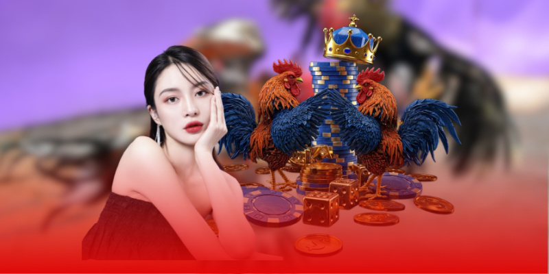 Tìm hiểu về đá gà tre 33WIN