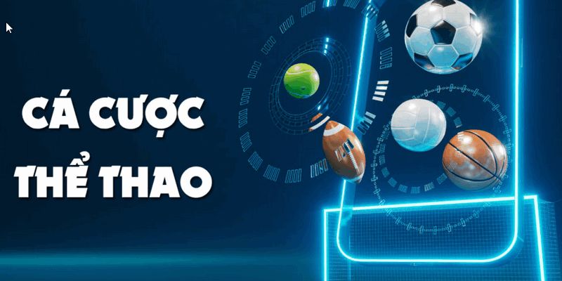 Cái nhìn tổng quan về cá cược thể thao