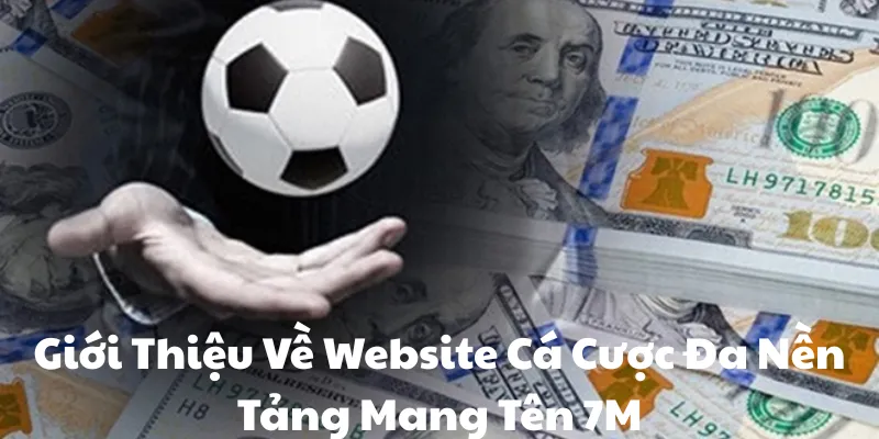 Giới Thiệu Về Website Cá Cược Đa Nền Tảng Mang Tên 7M