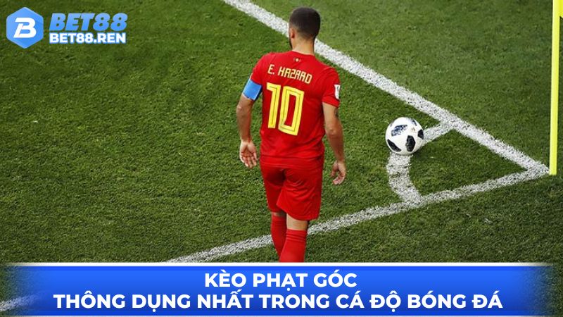 Kèo phạt góc - sức hấp dẫn của các loại kèo bóng đá