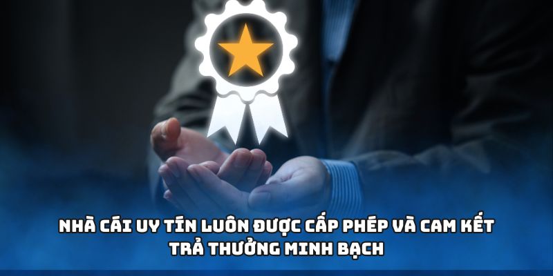 Kèo Nhà Cái – Yếu Tố Then Chốt Giúp Bạn Cá Cược Hiệu Quả Hơn