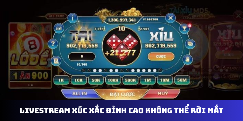 Livestream xúc xắc đỉnh cao không thể rời mắt