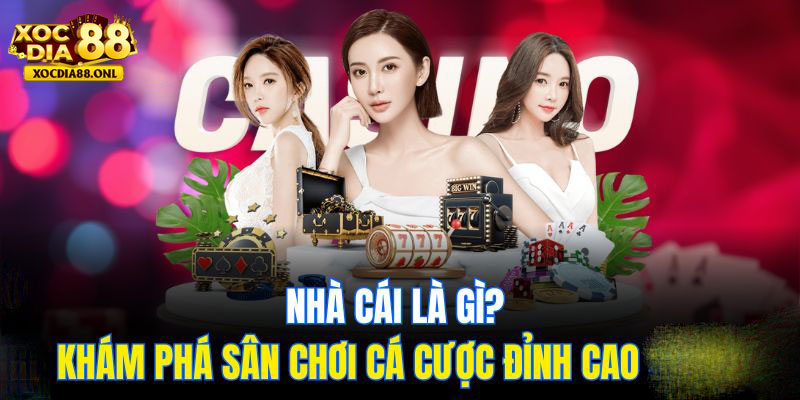 Giao diện thiết kế chuyên nghiệp, tốc độ tải mượt mà