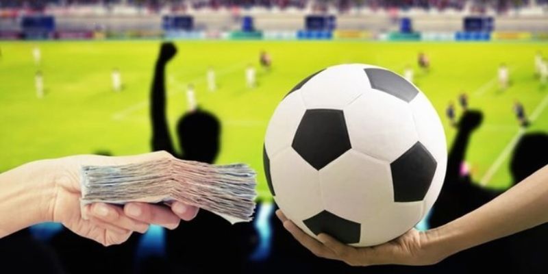 Những chiến lược đặt cược thể thao hiệu quả