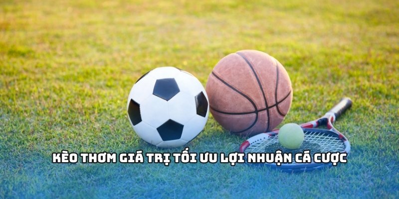 1GOM Săn Kèo Thơm Hiệu Quả Để Gia Tăng Cơ Hội Chiến Thắng