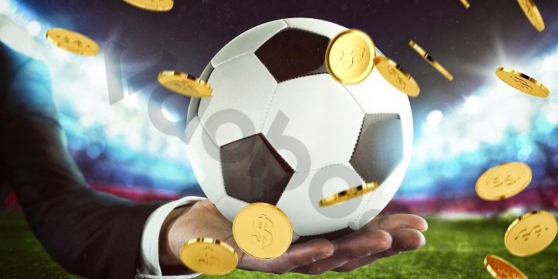 Lý do hội viên nên lựa chọn cá cược thể thao tại Luck8