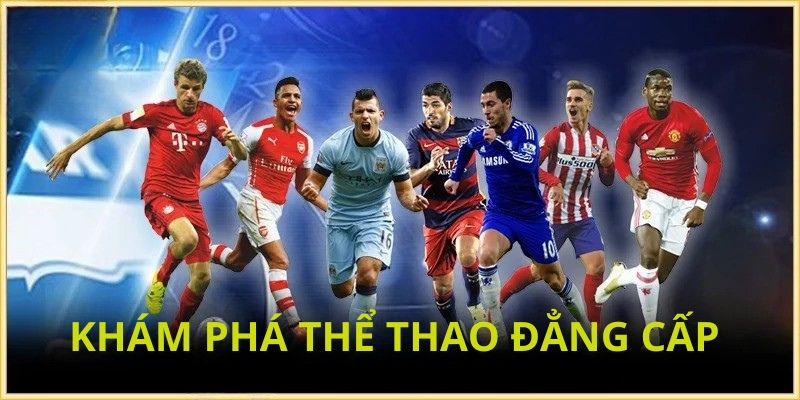 Thông tin về sân chơi thể thao nơi hội tụ đam mê