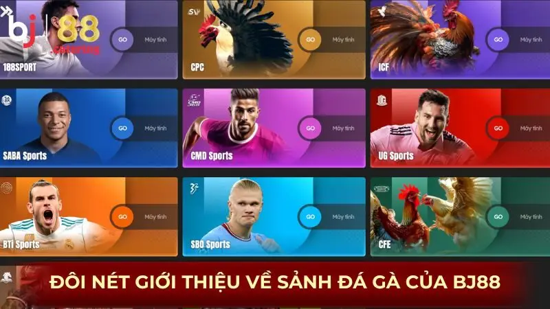 Trải Nghiệm Đá Gà BJ88 – Mỗi Trận Đấu Là Một Cuộc So Găng Kịch Tính