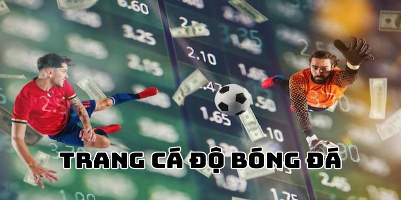 Trang cá độ bóng đá 7777 com cung cấp kho game đỉnh nhất 2025