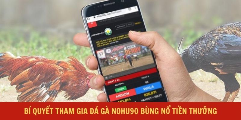 Bí quyết tham gia đá gà Nohu90 bùng nổ tiền thưởng