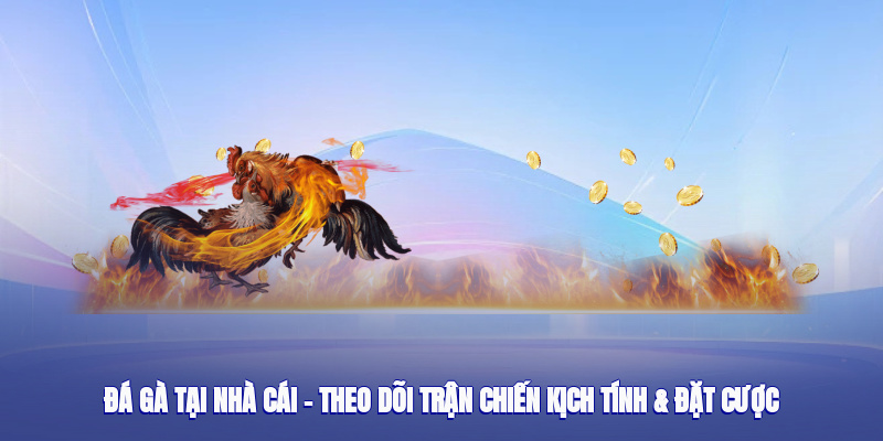 Đá Gà Tại Nhà Cái – Theo Dõi Trận Chiến Kịch Tính & Đặt Cược