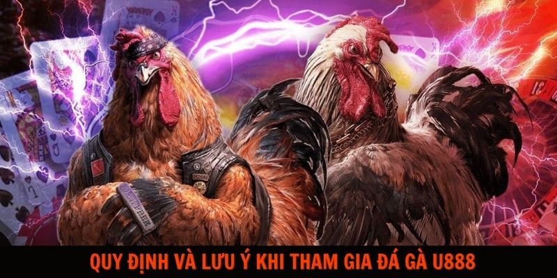 Quy định và lưu ý khi tham gia đá gà U888