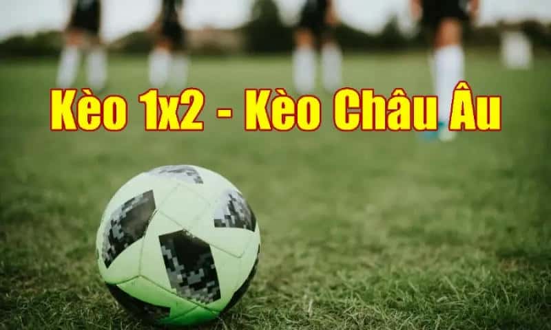Mẹo cao thủ giúp bạn thắng lớn với Kèo châu Âu Go88