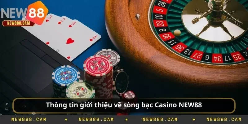 Trải Nghiệm Live Casino New88 – Cược Từng Ván, Hồi Hộp Từng Nhịp