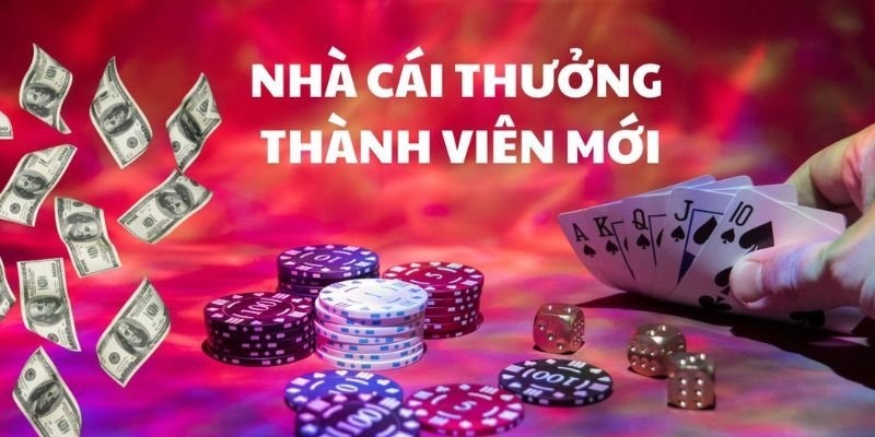 Cơ bản thông tin về nhà cái tặng tiền 7777 Com
