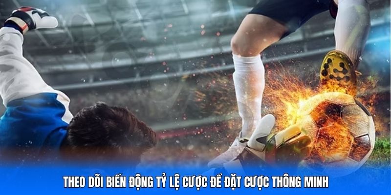 Theo dõi biến động tỷ lệ cược để đặt cược thông minh