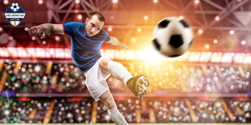 So sánh tỷ lệ giữa các nhà cái giúp người chơi tìm được giá trị cược tốt