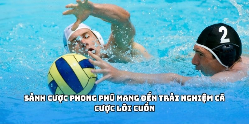 Sảnh cược phong phú mang đến trải nghiệm cá cược lôi cuốn