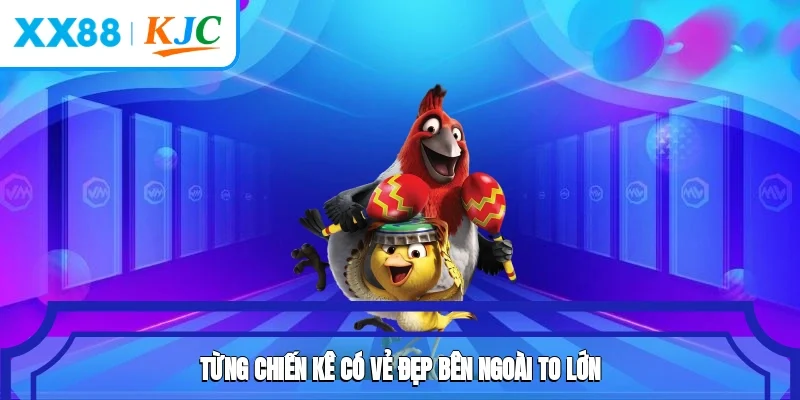 Cách tham gia và tận hưởng đá gà xx88