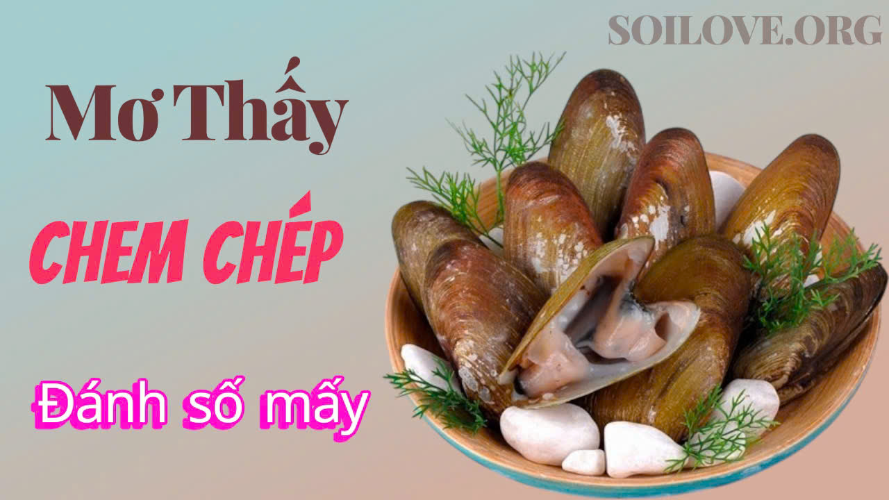 Mơ Thấy Chem Chép Đánh Số Mấy – Giải Mã Giấc Mơ Về Chem Chép