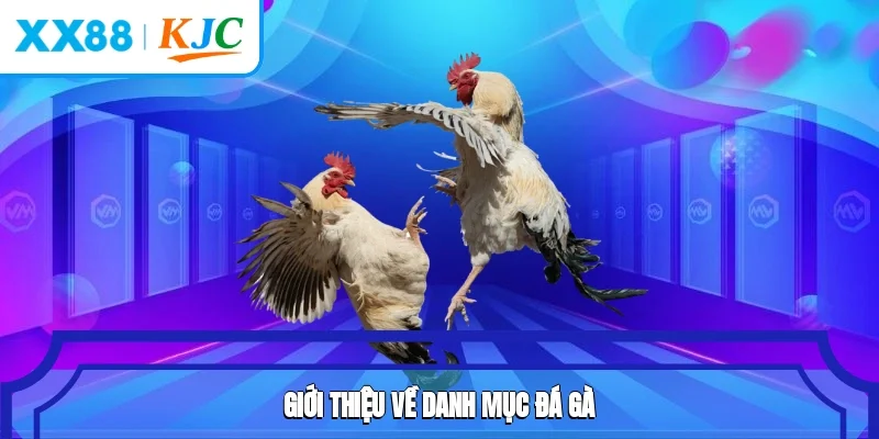 Đá gà xx88 – Trận đấu rực lửa trong lòng người hâm mộ