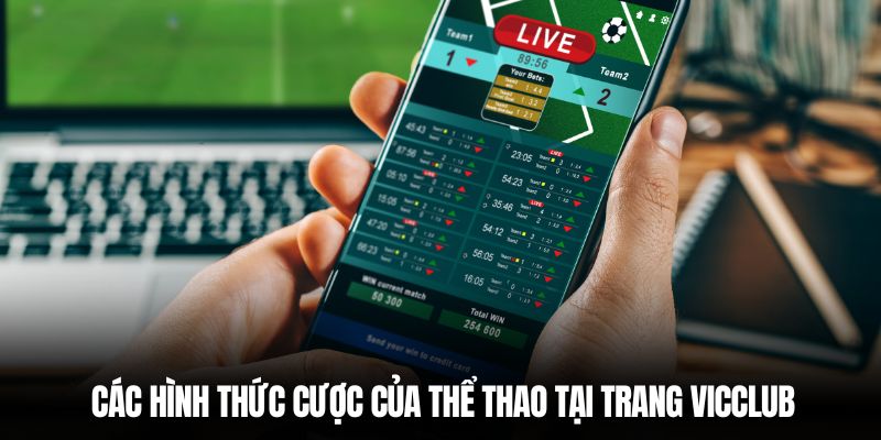 Các hình thức cược của thể thao tại trang Vicclub