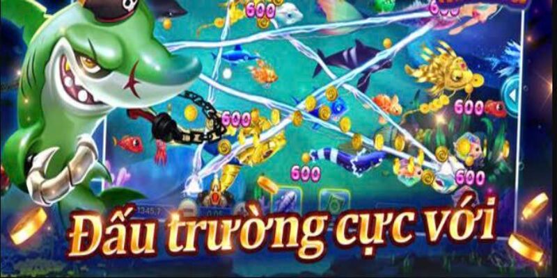 thời gian vàng để bắn cá